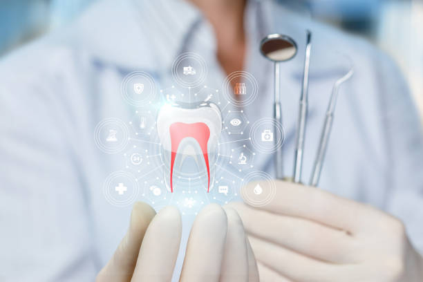 Best Traditional Braces  in Wmette, IL